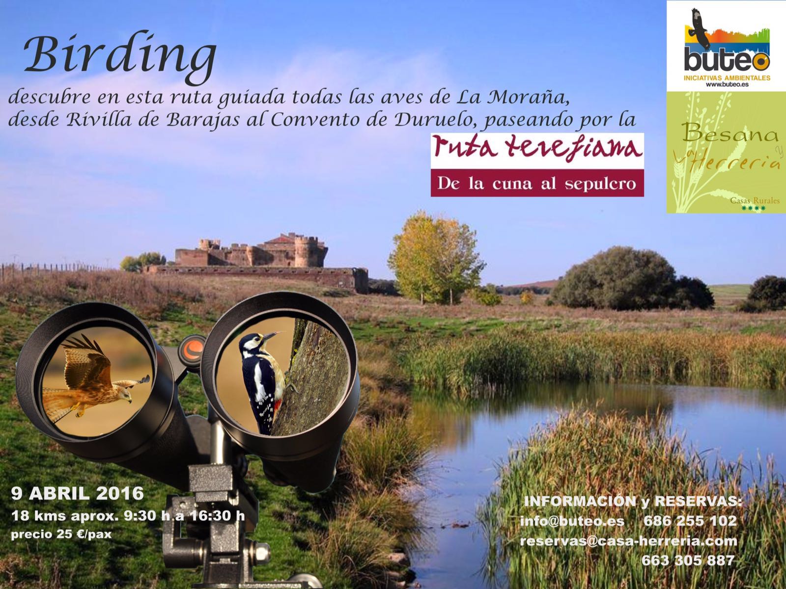 Birding Descubre las Aves de Rivilla a Duruelo